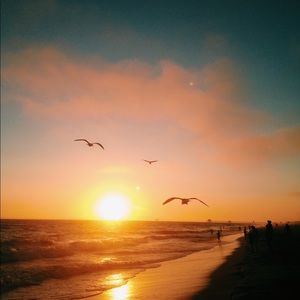 Hi everyone! I’m Jordan!